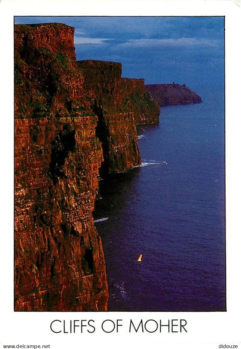 Irlande - Clare - The Cliffs Of Moher - Falaises - Ireland - CPM - Voir Scans Recto-Verso - Clare