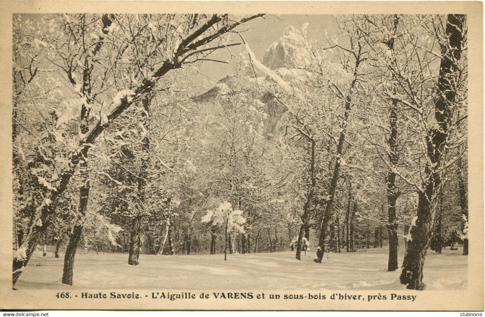 CPA - PASSY (ENV.) - AIGUILLE DE VARENS - SOUS-BOIS D'HIVER - Passy