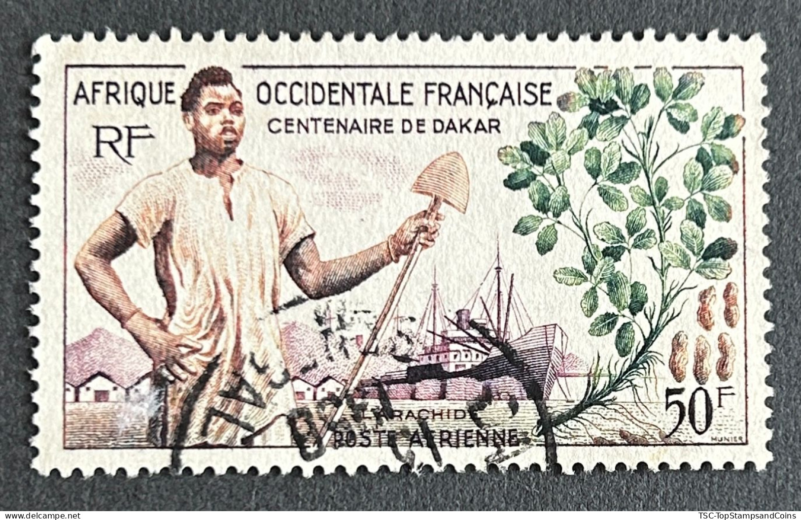 FRAWAPA026U - Airmail - Centenary Of Dakar - Peanut Production - 50 F Used Stamp - AOF - 1958 - Gebraucht
