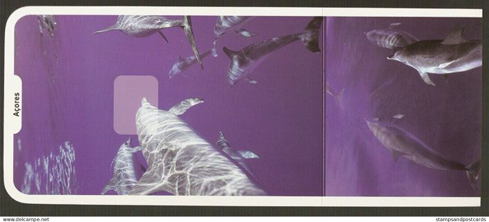 Portugal Entier Postal Açores Dauphin Dauphins 2004 Azores Postal Stationery Dolphin Dolphins - Dolphins