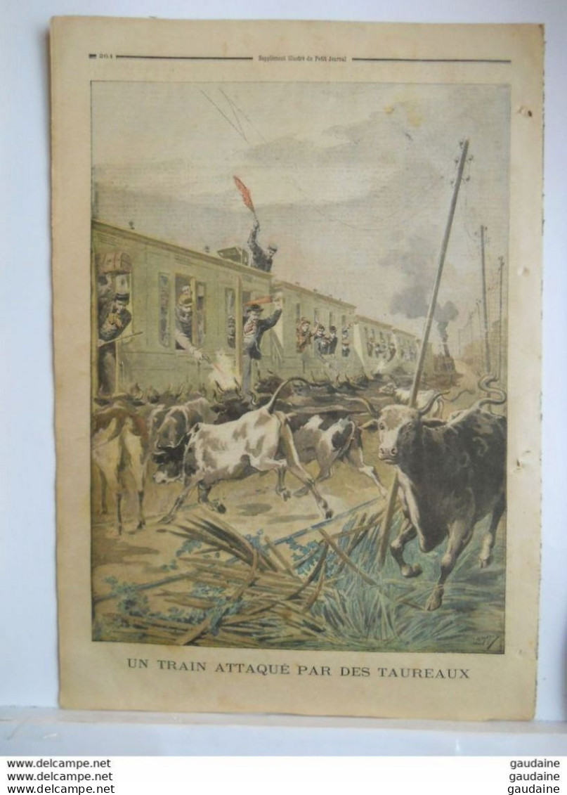 Le Petit Journal N°248 - 18 Aout 1895 - Attentat D'Aniche - Auberchicourt - ANARCHISTE - Train Taureaux - Le Petit Journal