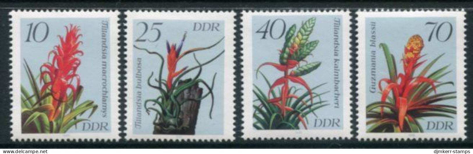 EAST GERMANY / DDR 1988 Bromeliads  MNH / ** .  Michel  3149-52 - Ongebruikt