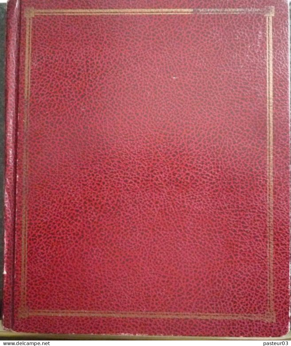 Classeur Marque DIAPHANO 12 Pages Blanches 10 Bandes Avec Odontomètre - Formato Pequeño, Fondo Blanco