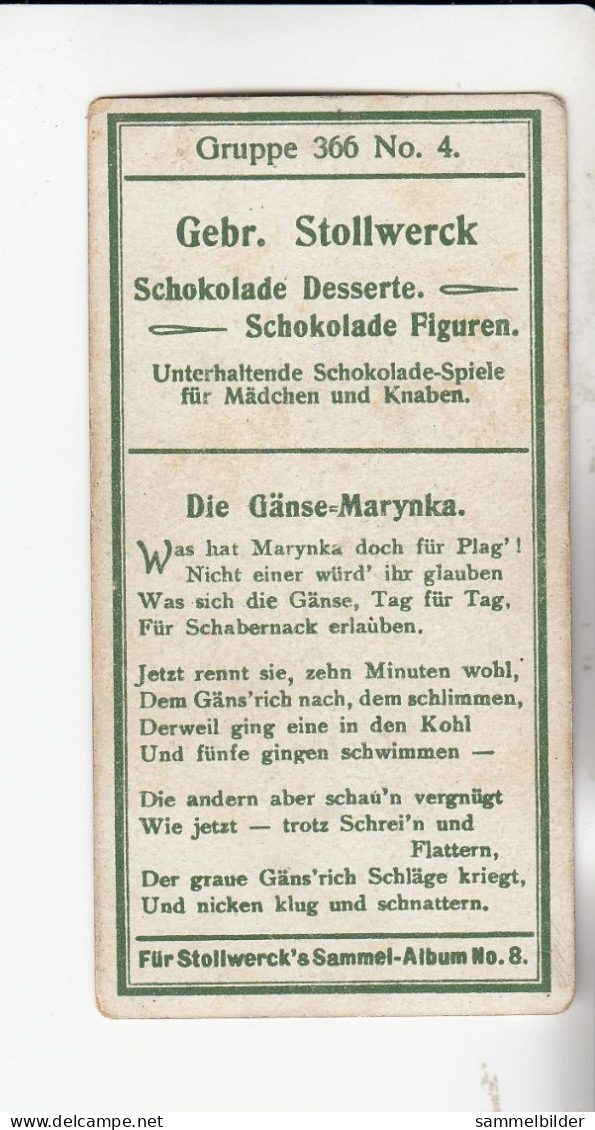 Stollwerck Album No 8 Bilder Aus Posen  Die Gänse Marynka     Grp 366#4 Von 1905 - Stollwerck