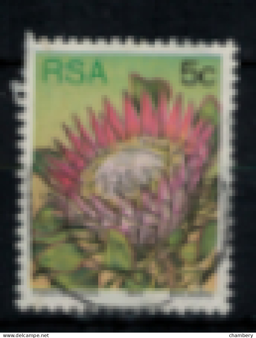 Afrique Du Sud - "Fleurs Diverses : Protea" - Oblitéré N° 420 De 1977 - Used Stamps