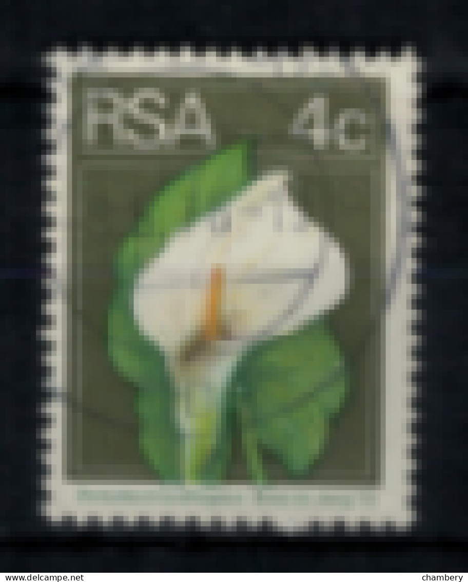 Afrique Du Sud - "Fleur : Zantedeschia" - Oblitéré N° 362 De 1974 - Usati