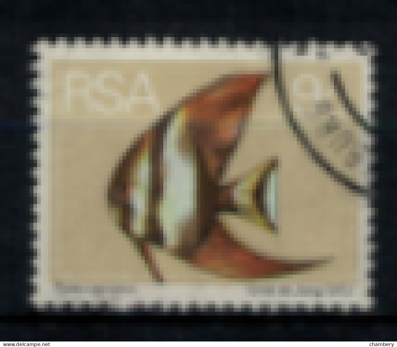 Afrique Du Sud - "Poisson : Platax" - Oblitéré N° 366 De 1974 - Used Stamps