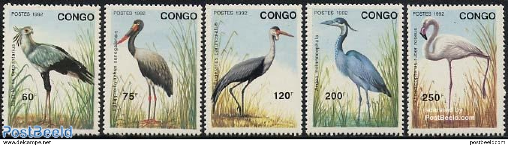 Congo Republic 1992 Birds 5v, Mint NH, Nature - Birds - Flamingo - Sonstige & Ohne Zuordnung
