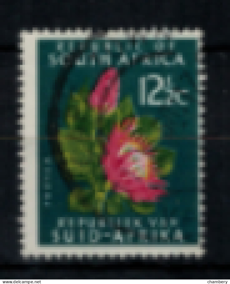 Afrique Du Sud - "Fleur : Protée" - Oblitéré N° 257 De 1961/63 - Used Stamps