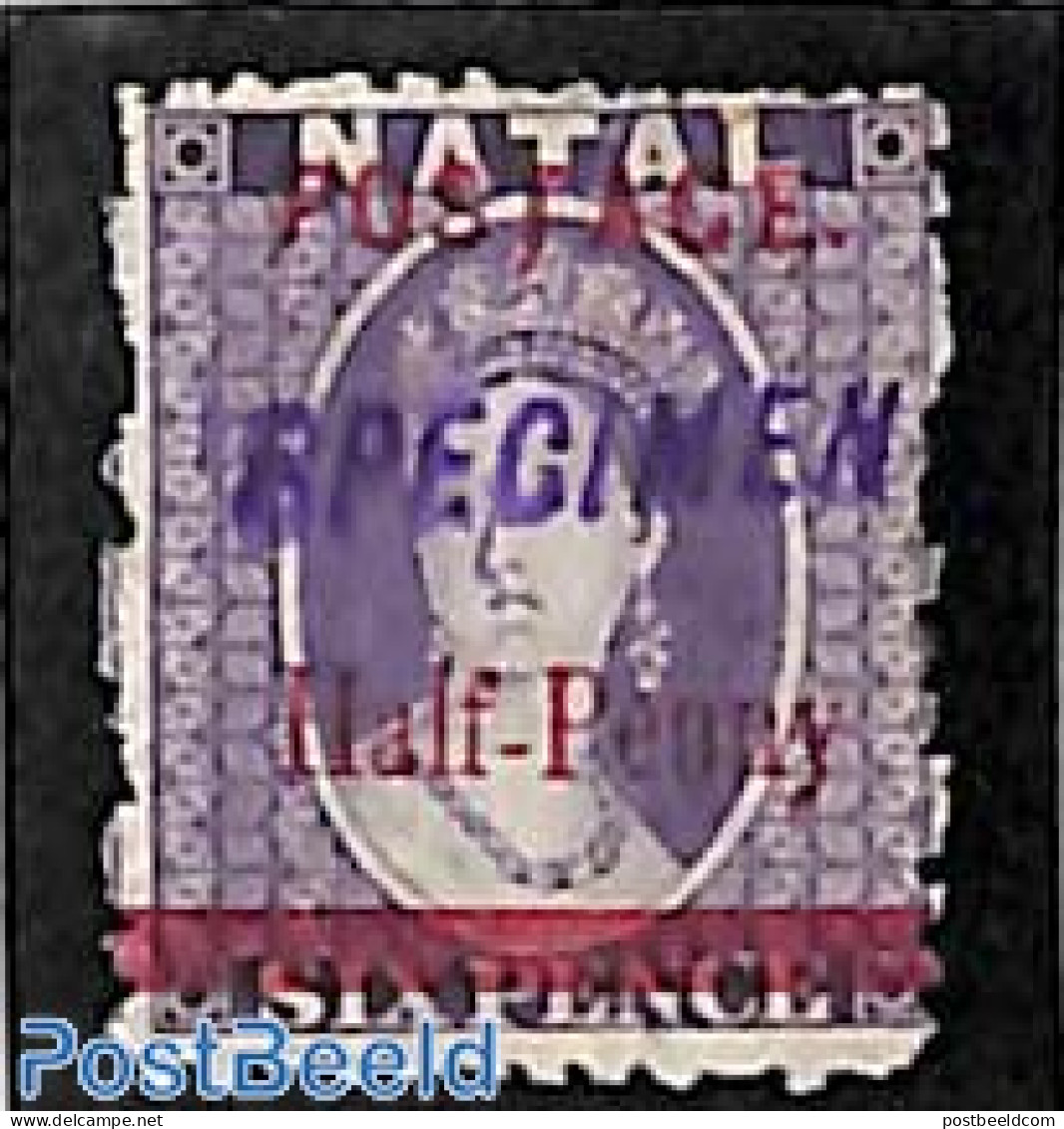 Natal 1895 Half Penny Overprint, SPECIMEN, Unused (hinged) - Natal (1857-1909)