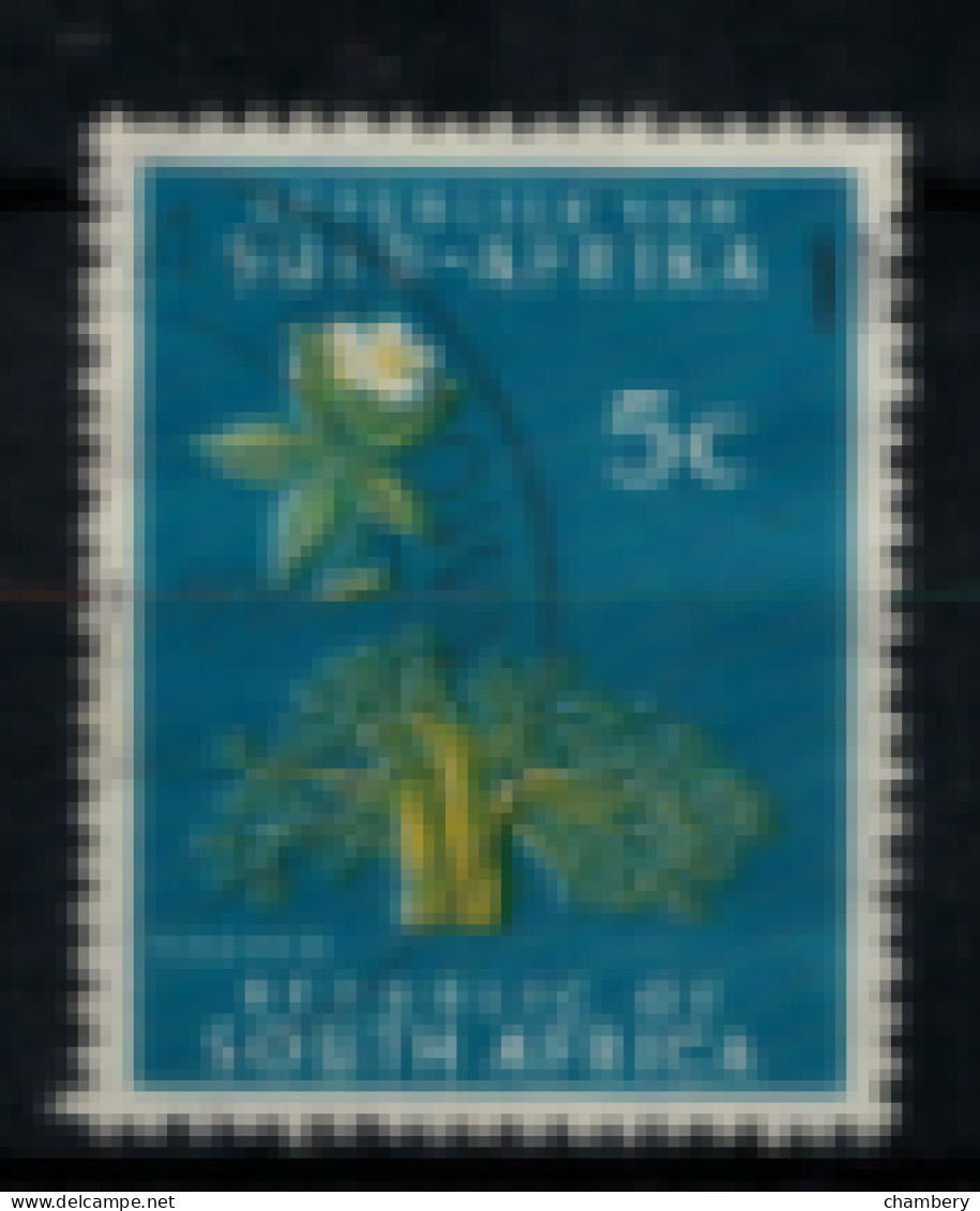 Afrique Du Sud - "Richesse Du Pays : Baobab" - Oblitéré N° 254 De 1961/63 - Used Stamps