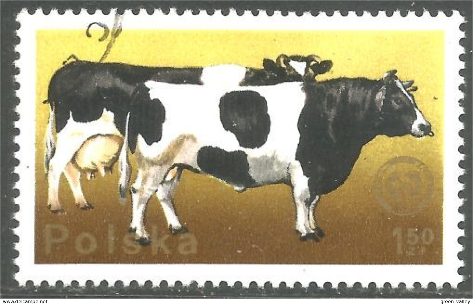 XW01-2872 Poland Vache Cow Vaca Kuh Koe Mucca Vacca - Koeien