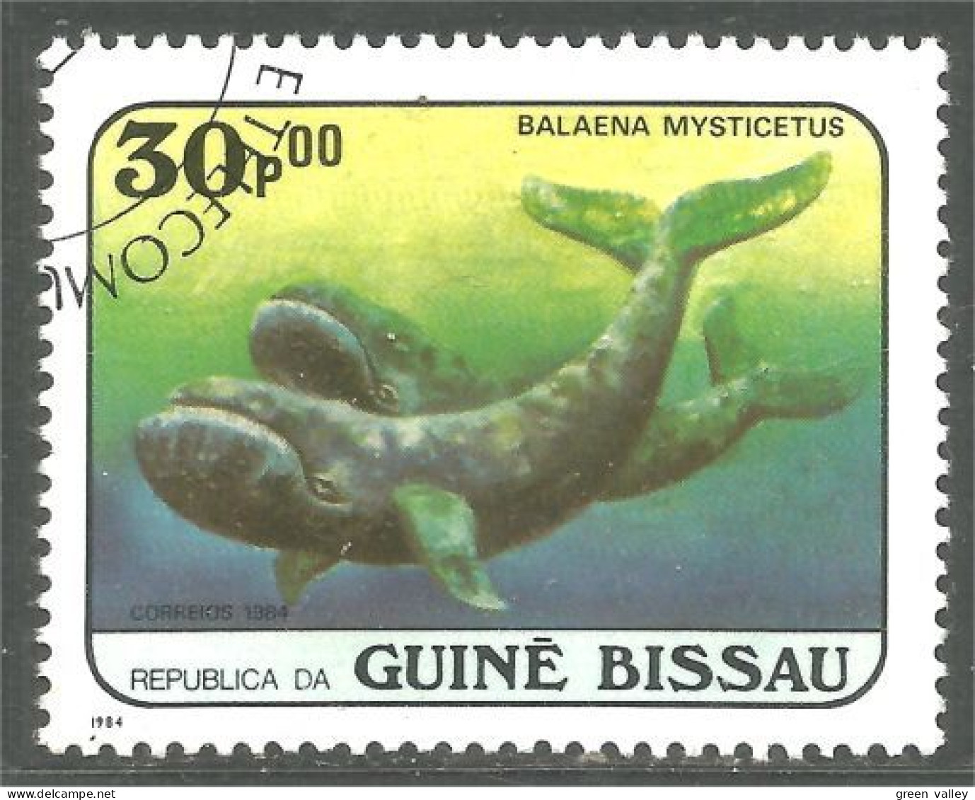 XW01-2869 Guiné Bissau Baleine Whale Whal Balena - Wale