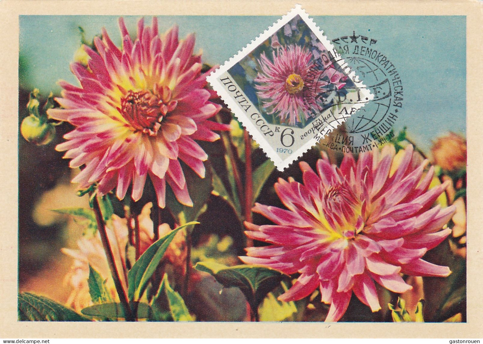 Carte Maximum Russie Russia Fleur Flower 3666 Dahlia - Maximumkaarten