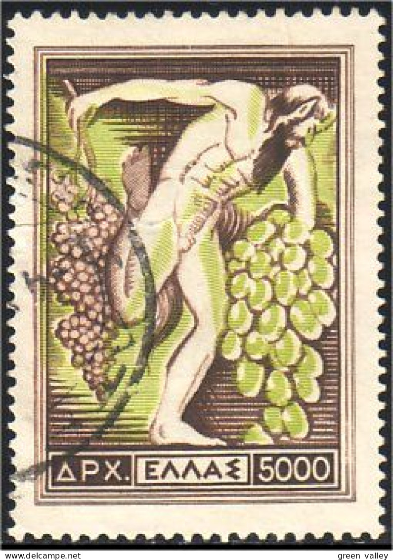 458 Greece Raisin Vigne Grape Wine Wein (GRC-6) - Wein & Alkohol
