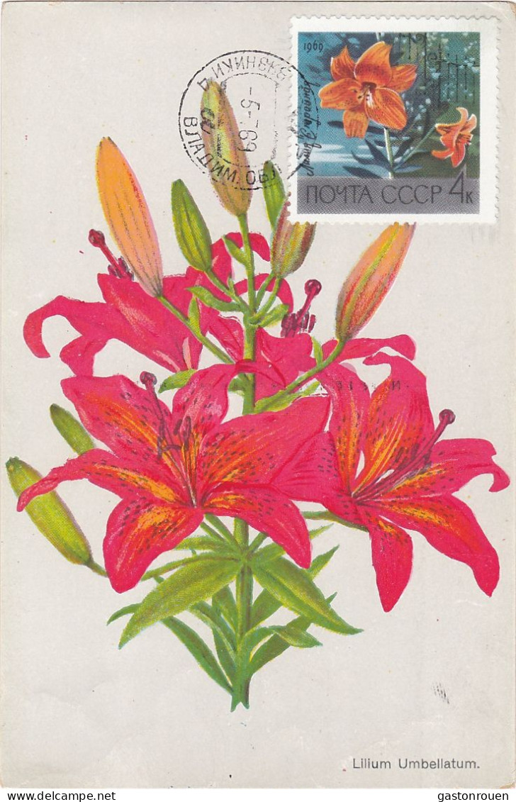 Carte Maximum Russie Russia Fleur Flower 3488 Lys Jaune Lily - Cartoline Maximum