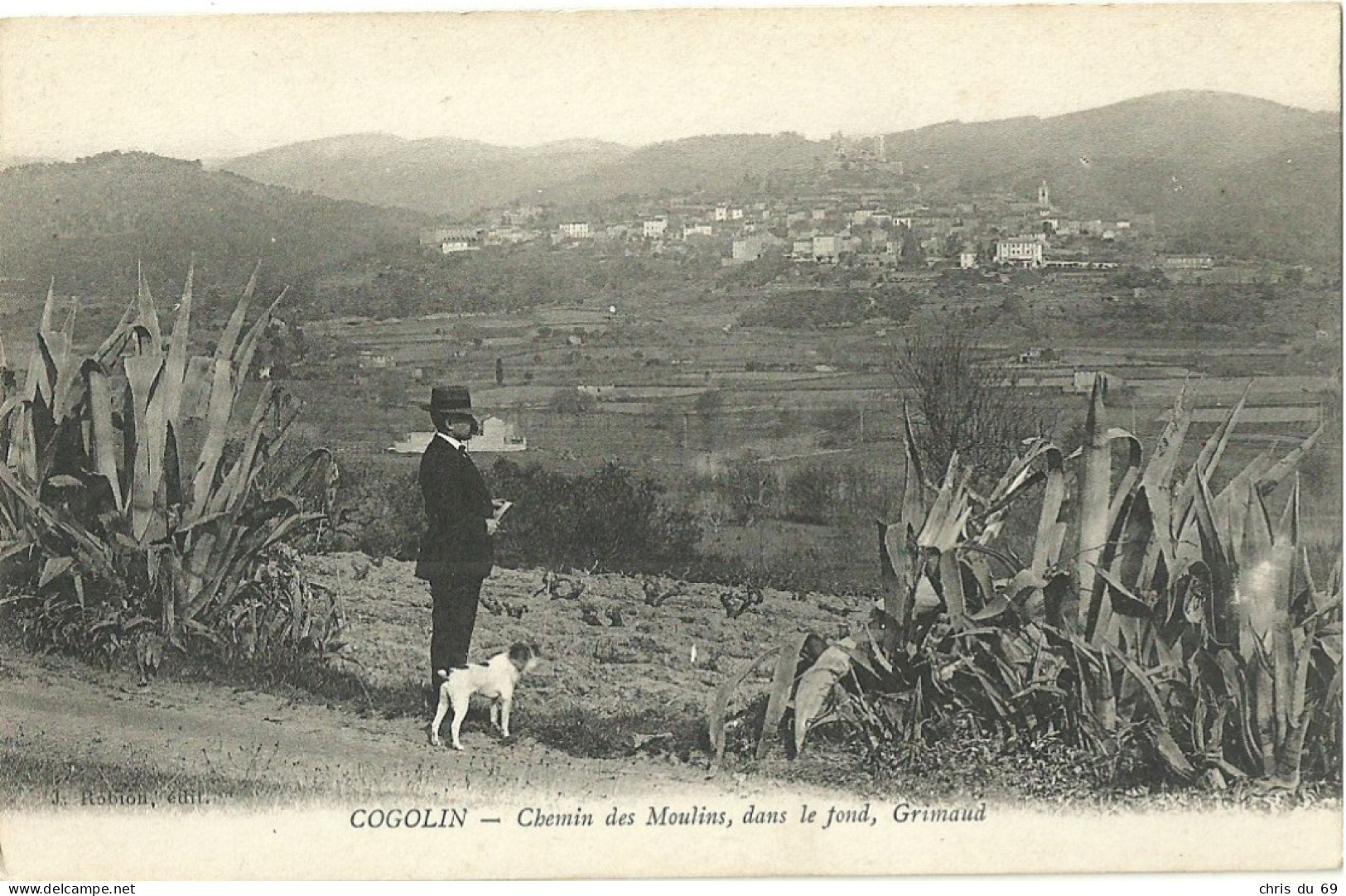 Cogolin Chemin Des Moulins Dans Le Fond Grimaud - Cogolin