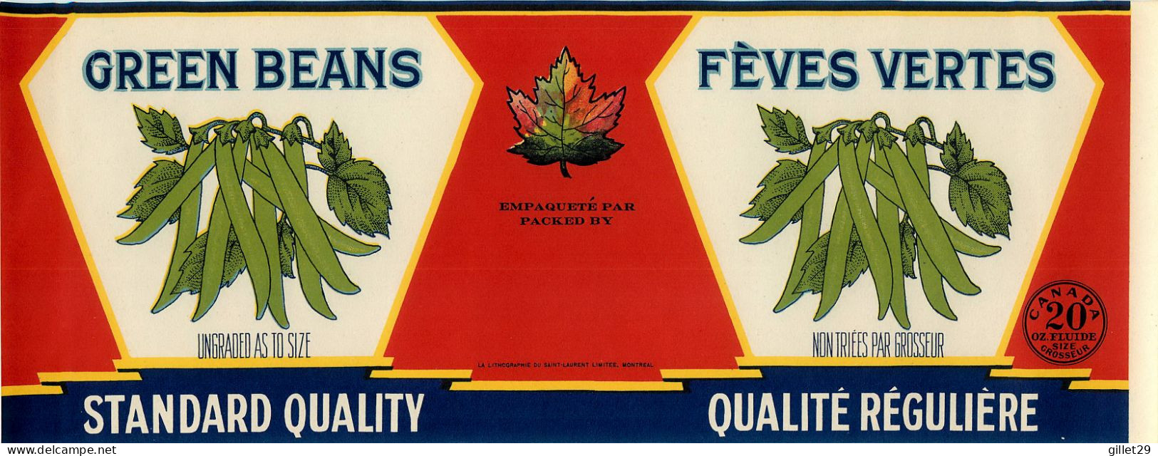 ÉTIQUETTES - GREEN BEANS - FÈVES VERTES - STANDARD QUALITY - 20 OZS CANADA - DIMENSION 10.5 X 28 Cm - - Fruits & Vegetables