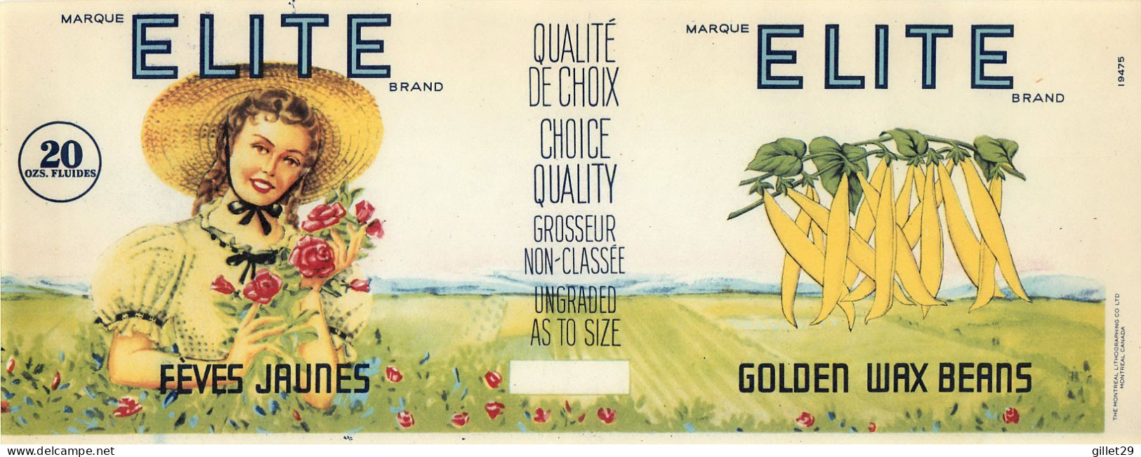 ÉTIQUETTES - MARQUE ELITE BRAND - FÈVES JAUNES - GOLDEN WAX BEANS - 20 OZS CANADA - DIMENSION 10.5 X 28 Cm - - Fruit En Groenten