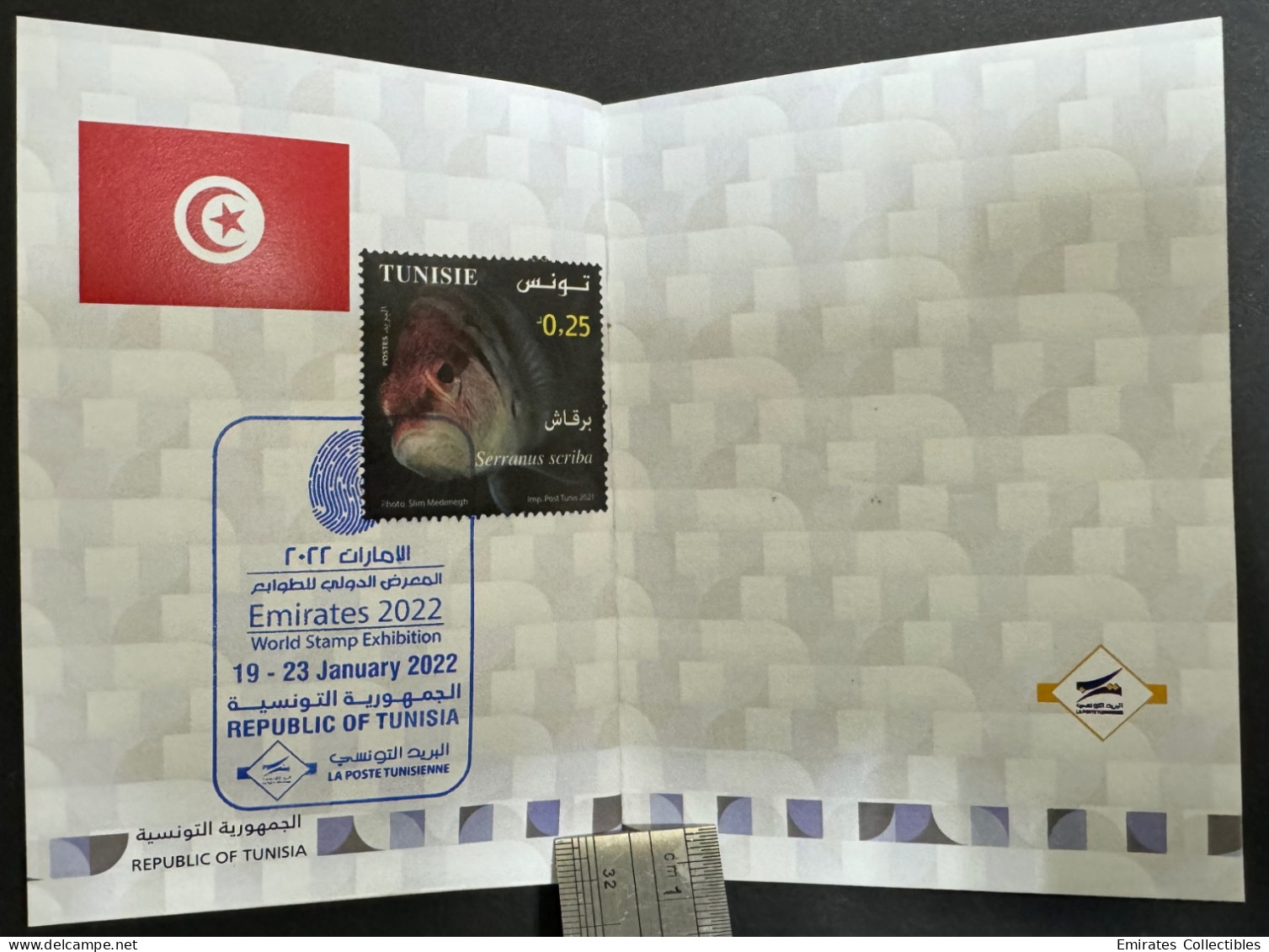 Mahatma Gandhi Palestine Egypt Philatelic Passport Emirates 2022 World Stamp Exhibition special postmark