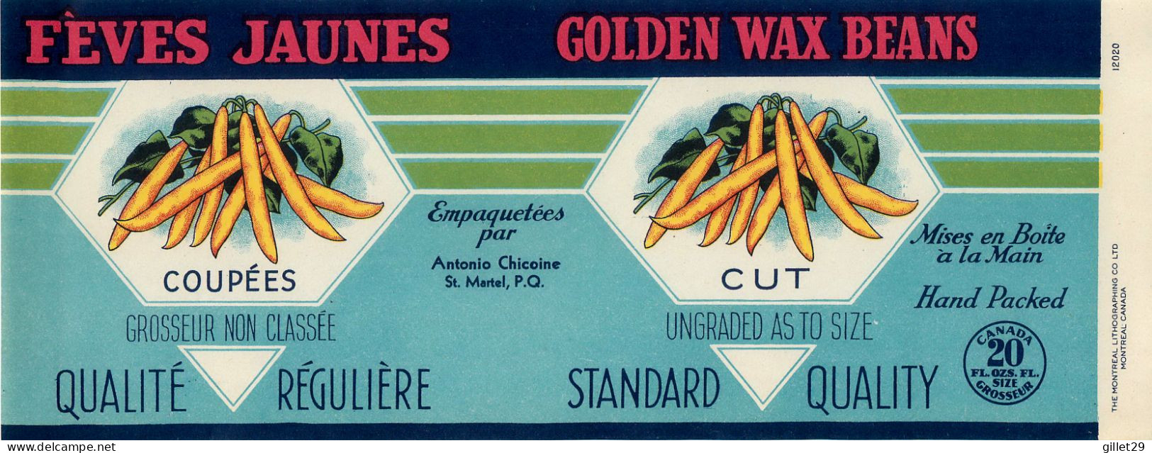 ÉTIQUETTES - FÈVES JAUNES - GOLDEN WAX BEANS - EMPAQUETÉES PAR ANTONIO CHICOINE - 20 OZS CANADA - DIMENSION 11 X 27 Cm - - Fruits & Vegetables