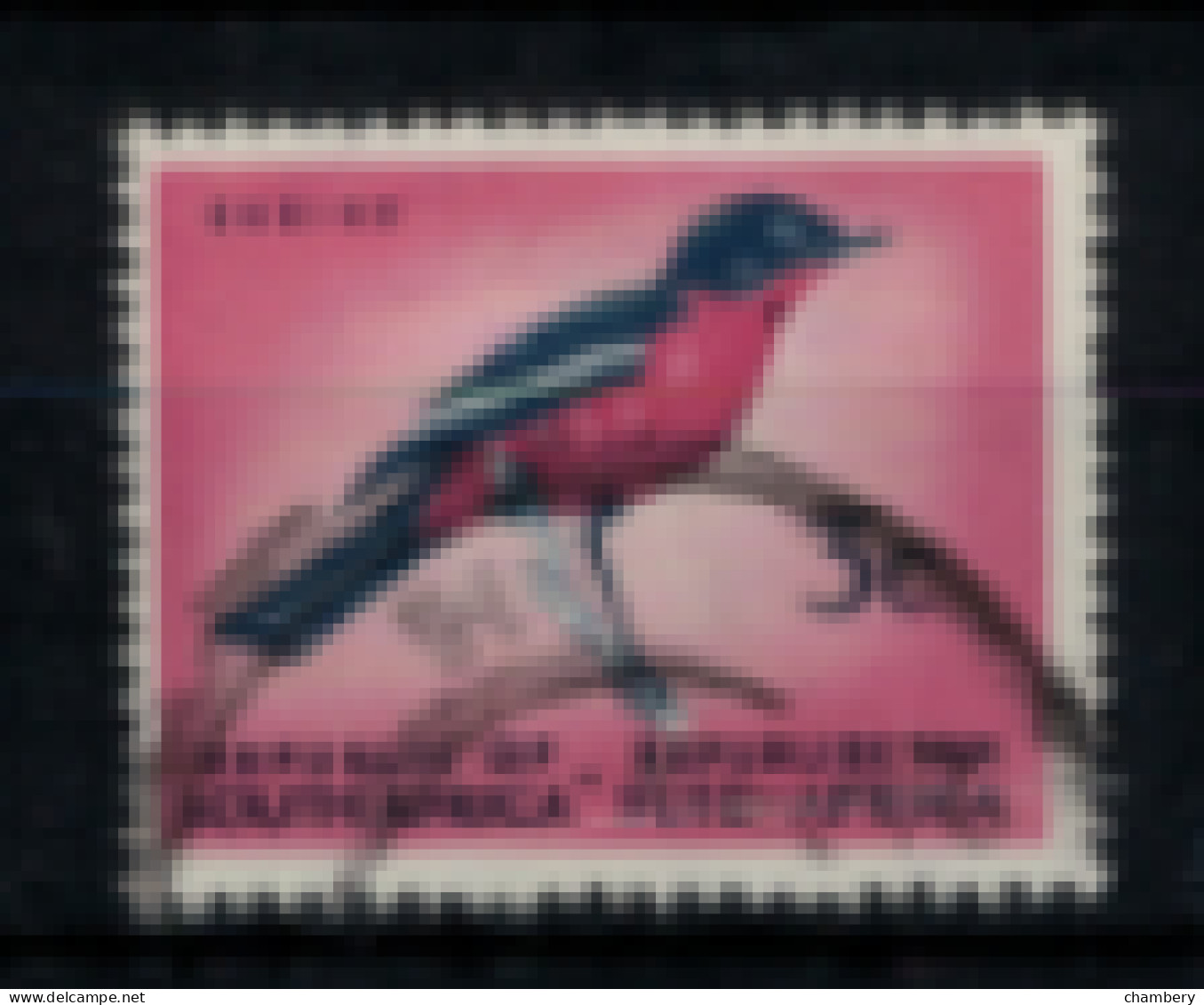 Afrique Du Sud - "Oiseau : Lanier à Gorge Rouge" - Oblitéré N° 253 De 1961/62 - Used Stamps