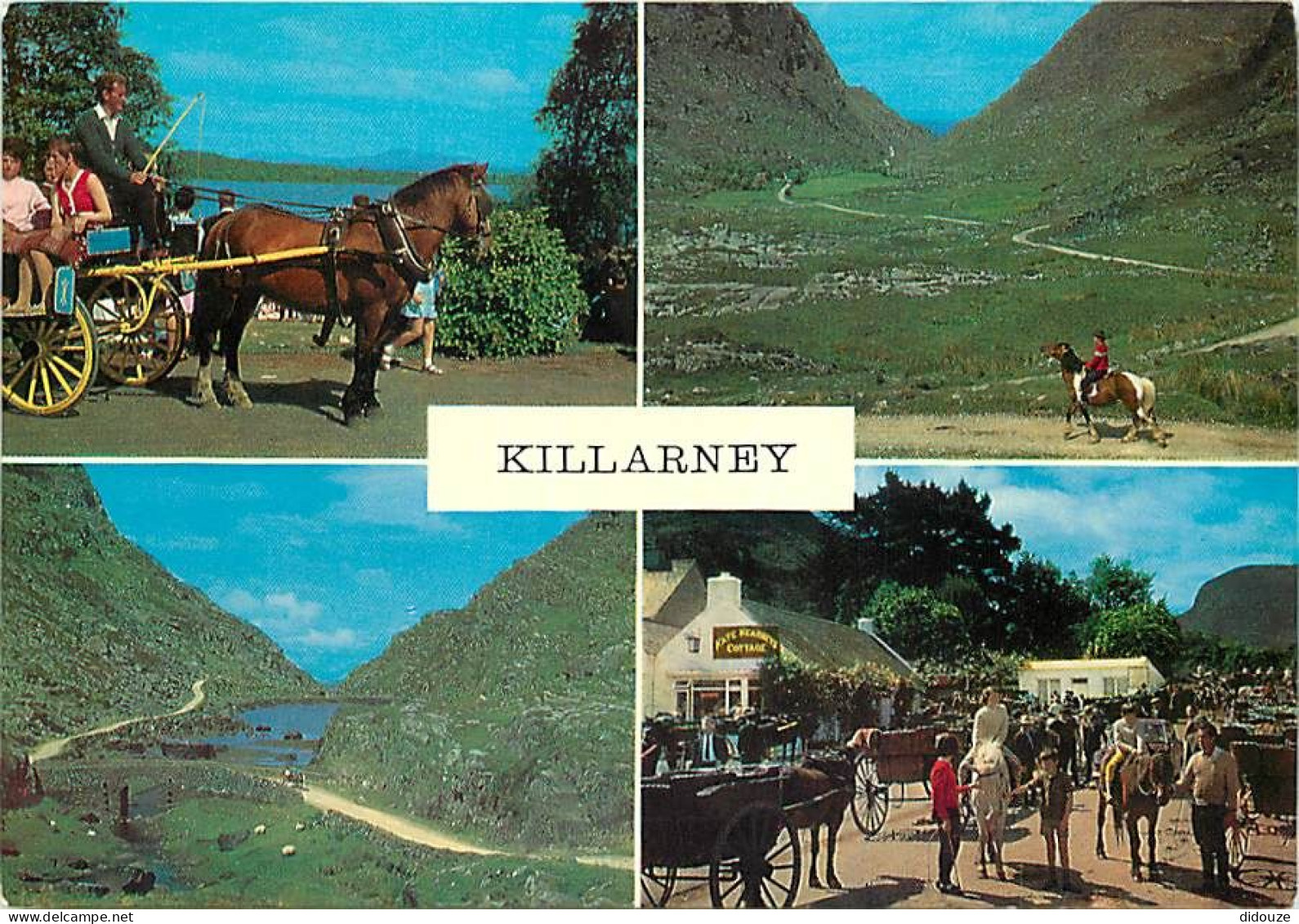 Irlande - Kerry - Killarney - Multivues - Chevaux - Ireland - CPM - Voir Scans Recto-Verso - Kerry