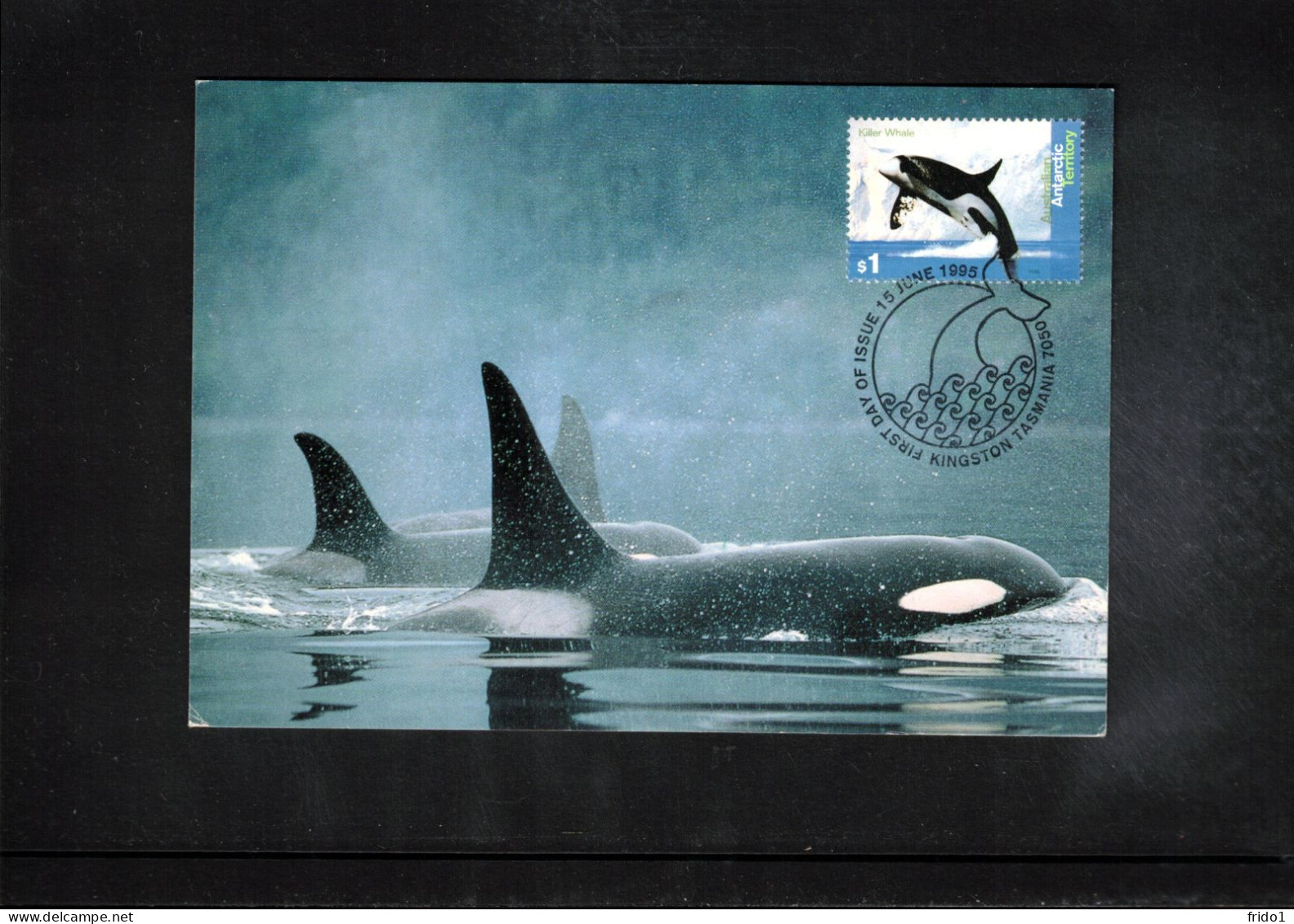 Australian Antarctic Territory 1996 Antarctica - Base Casey - Casey Ice Edge Fly-Off  - Whales Interesting Cover - Bases Antarctiques