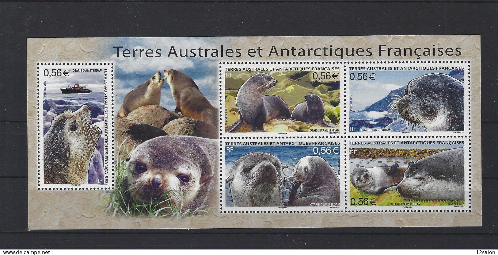 Terres Australes Et Antarctiques Françaises 2010 566 à 569 - Ongebruikt