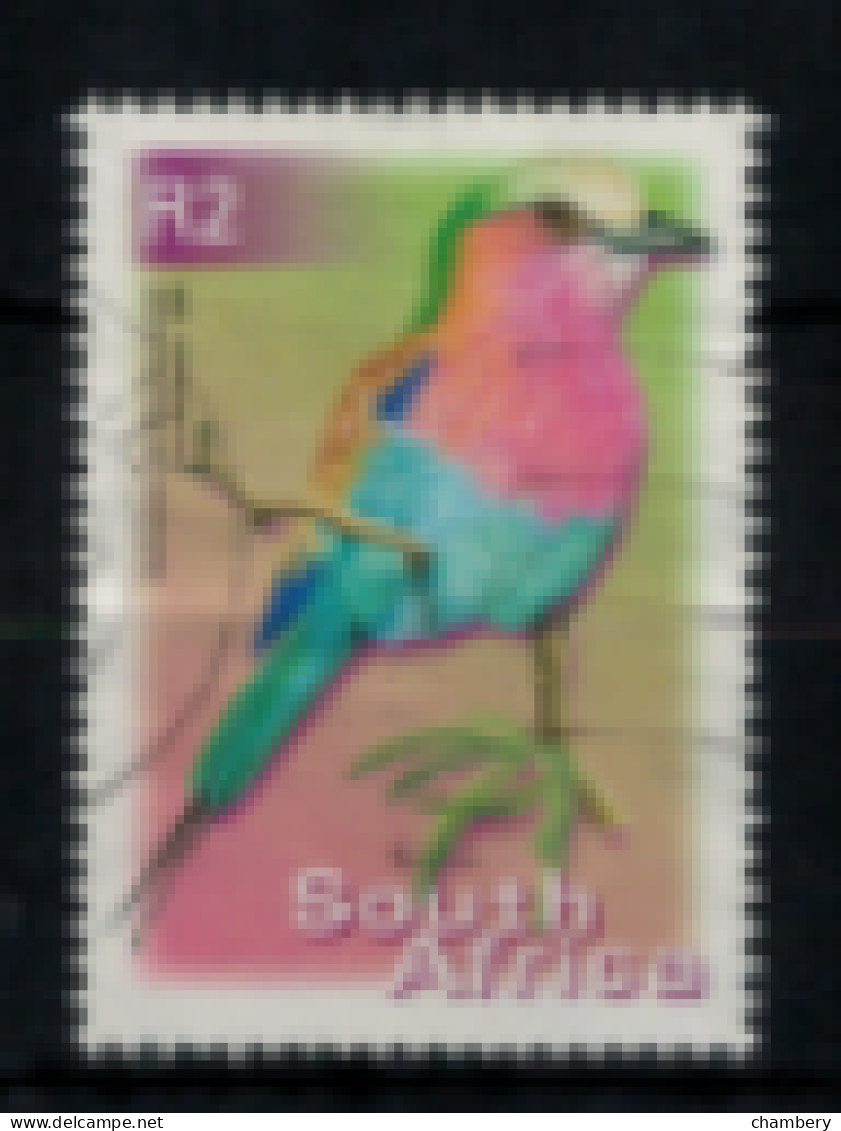 Afrique Du Sud - "Oiseau - Type De 2000" - Oblitéré N° 1127/Va De 2002 - Used Stamps