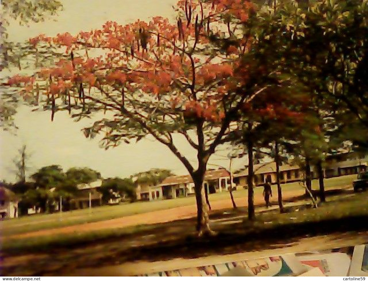 NIGERIA - Lagos - Flame Tree VB1975 JU5132 - Nigeria