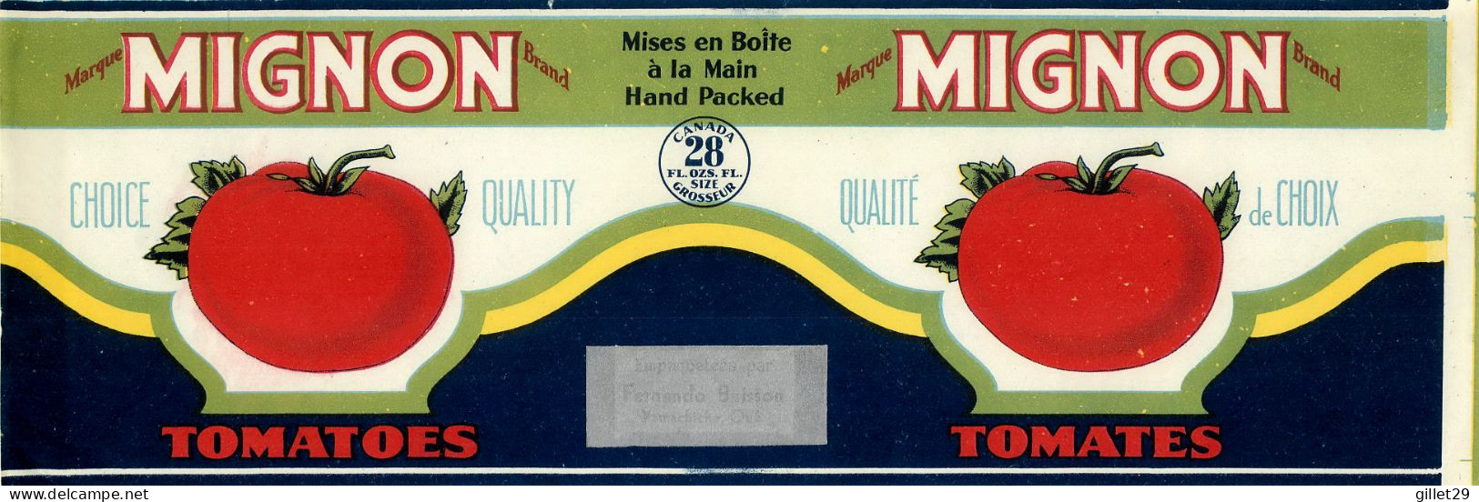 ÉTIQUETTES - MARQUE MIGNON BRAND - TOMATOES - TOMATES  - 28 OZS CANADA - DIMENSION 11 X 33 Cm - - Fruit En Groenten