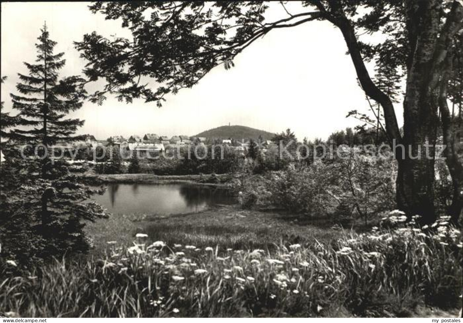 72442732 Altenberg Erzgebirge Geising Teilansicht Geising - Geising