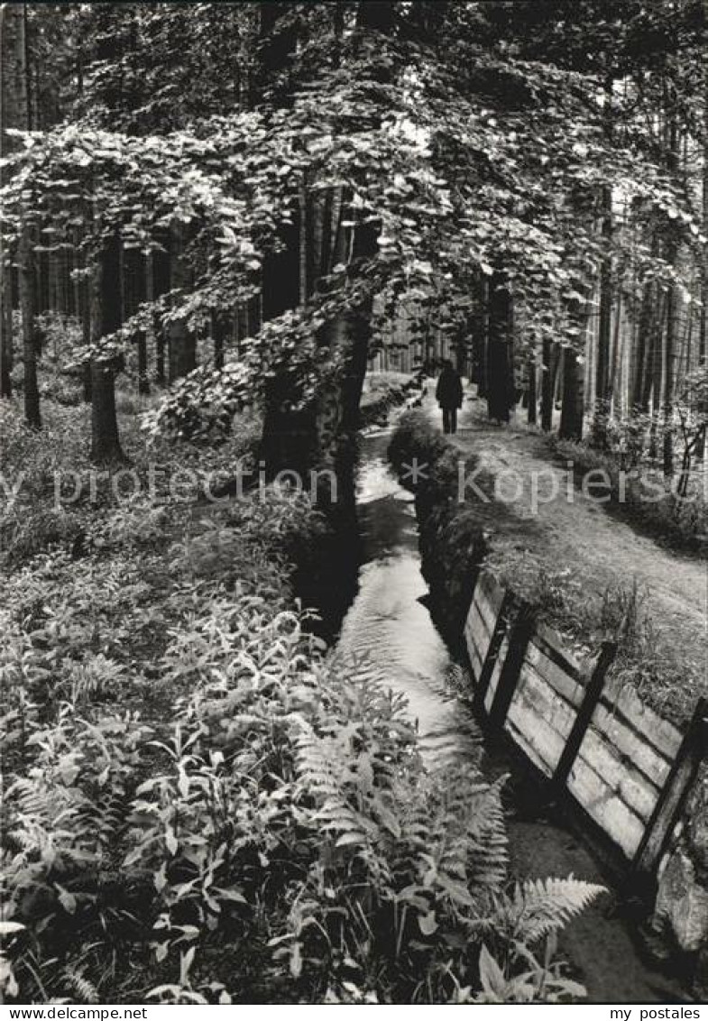 72442725 Altenberg Erzgebirge Aschergraben Geising - Geising