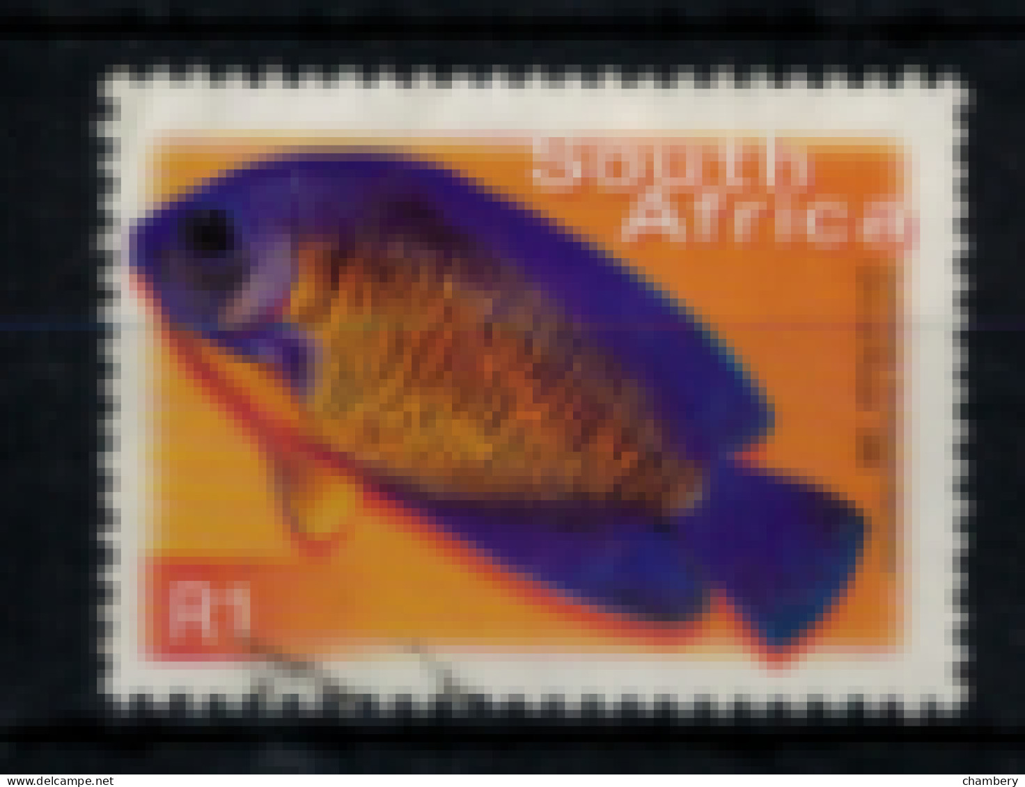 Afrique Du Sud - "Poisson : Centropyge" - Neuf 1* N° 1127/N De 2000 - Gebraucht