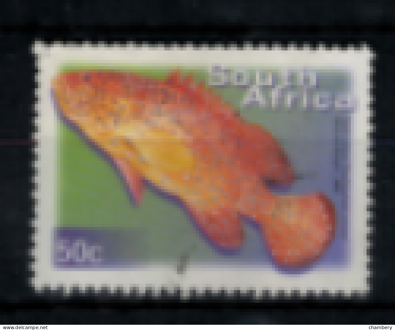 Afrique Du Sud - "Poisson : Cephalopolis" - Oblitéré N° 1127/H De 2000 - Usati
