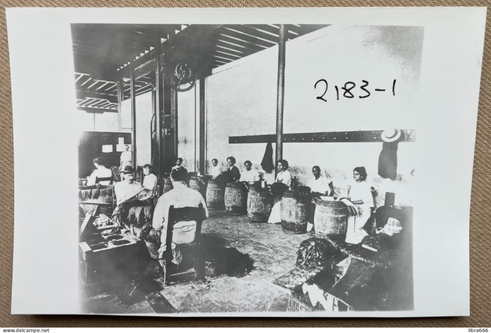 CUBA - Trabajar En Una Fábrica De Cigarros - 15 X 10 Cm (REPRO PHOTO !  Voir Description, See Description) ! - Beroepen