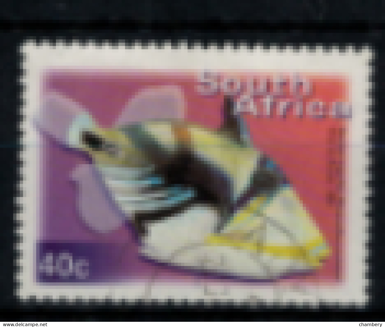 Afrique Du Sud - "Poisson : Rhinecanthus" - Oblitéré N° 1127/G De 2000 - Used Stamps