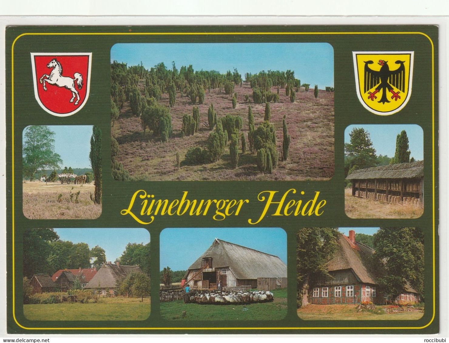 Lüneburger Heide, Niedersachsen - Lüneburger Heide