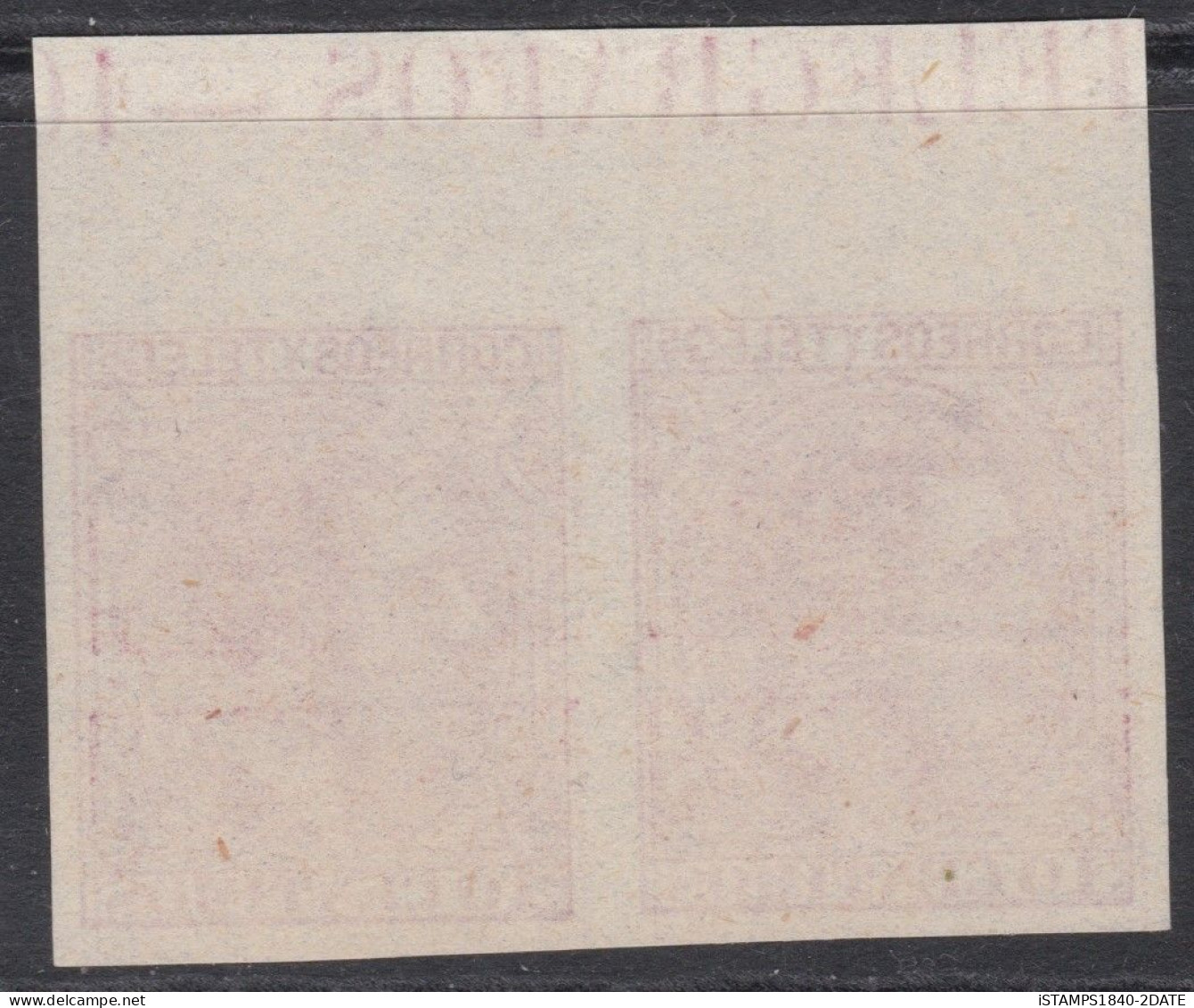 001074/ Spain 1879 Sc244 10c Red Imperf Double Print Marginal Pair - Unused Stamps