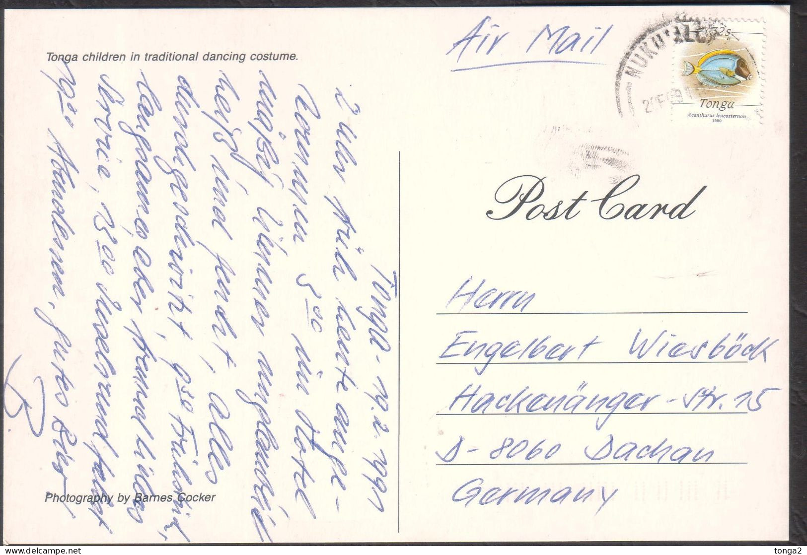 Tonga Cover Postcard To Germany - 1990 Small Size 32s Fish Pays Postcard Rate - Tonga (1970-...)