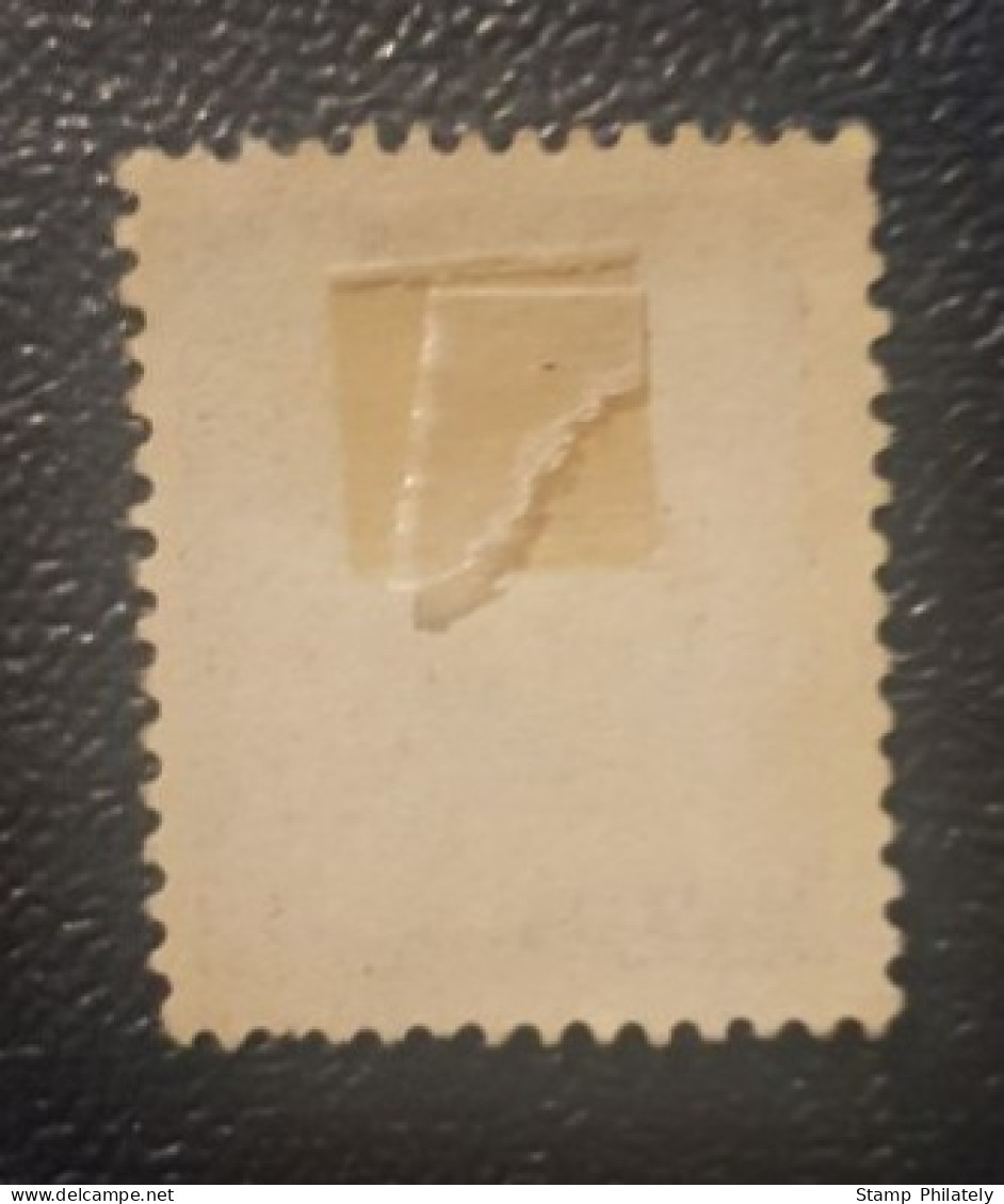 Norway Lion 20 Used Stamp Classic-Type Line Between ØRE And POST - Used Stamps