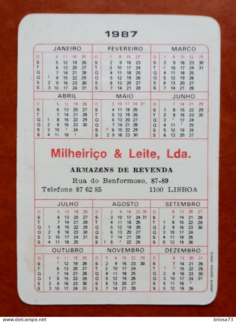 Calendrier De Poche, Portugal 1987 - Grand Format : 1981-90