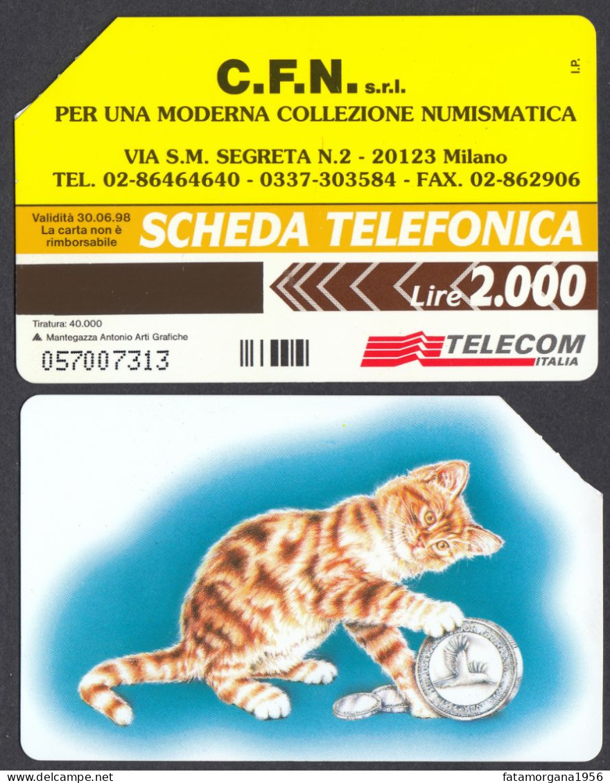 LOTTO Di 2 SCHEDE TELEFONICHE RIPRODUCENTI GATTI. - Katzen