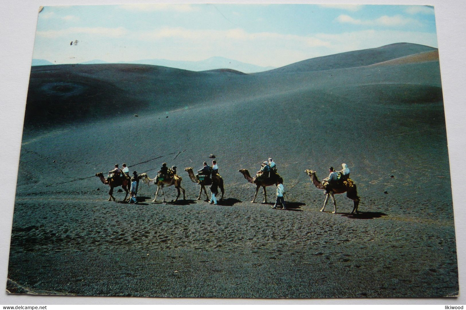 Lanzarote - Camels In The Fire`s Mountain - Lanzarote