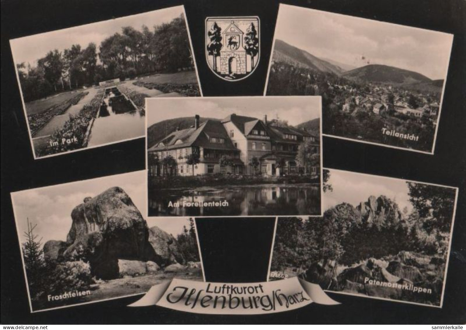 79820 - Altenburg - U.a. Am Forellenteich - 1958 - Altenburg