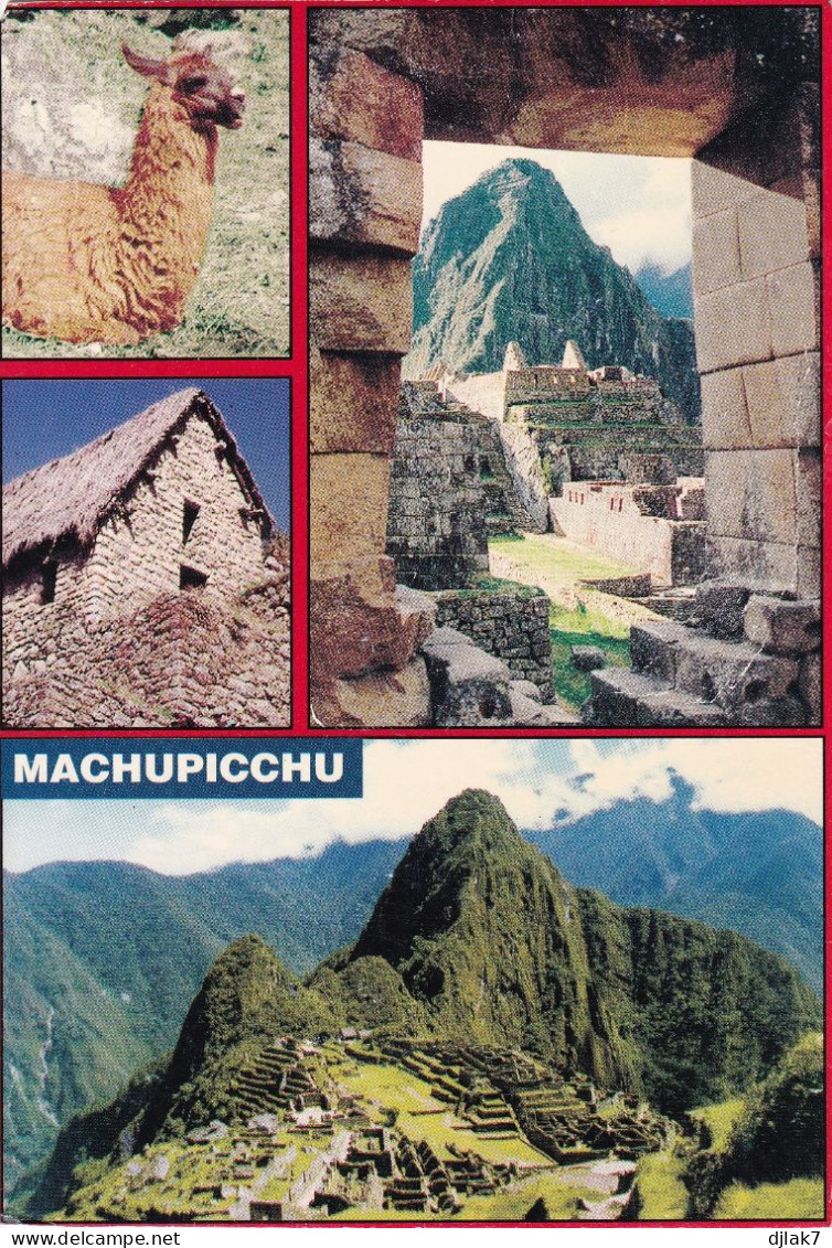 Pérou Le Machupicchu Un Lama La Grande Maison Huaynapicchu Vue De Machupicchu HF - Perú