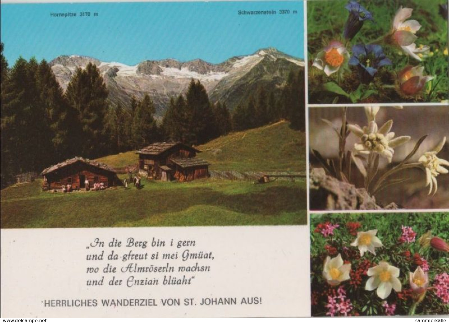 64047 - Österreich - Sankt Johann - Niederhofer Alm - Ca. 1980 - St. Johann In Tirol