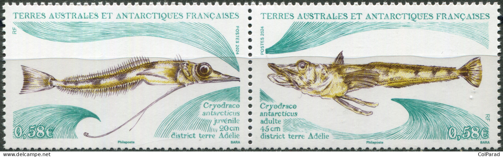 TAAF - 2024 - BLOCK OF 2 STAMPS MNH ** - Cryodraco Antarcticus - Nuevos