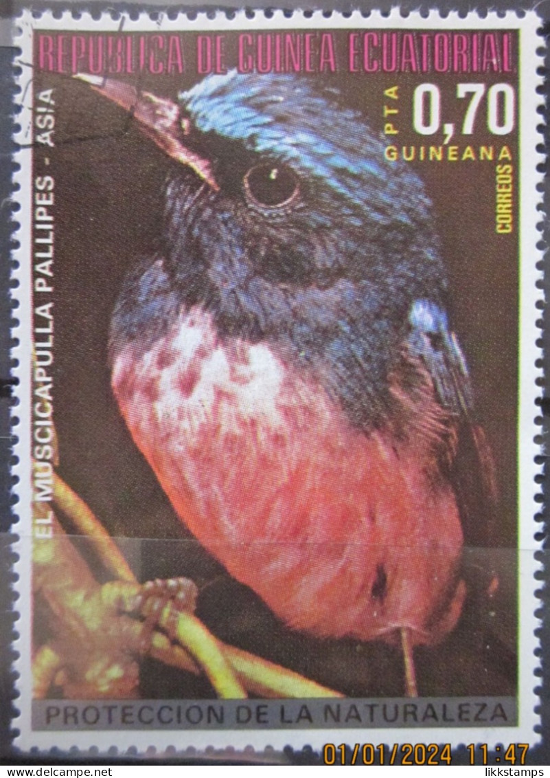EQUATORIAL GUINEA ~ 20th SEPTEMBER 1976 ~ BIRDS. ~  VFU #03247 - Äquatorial-Guinea